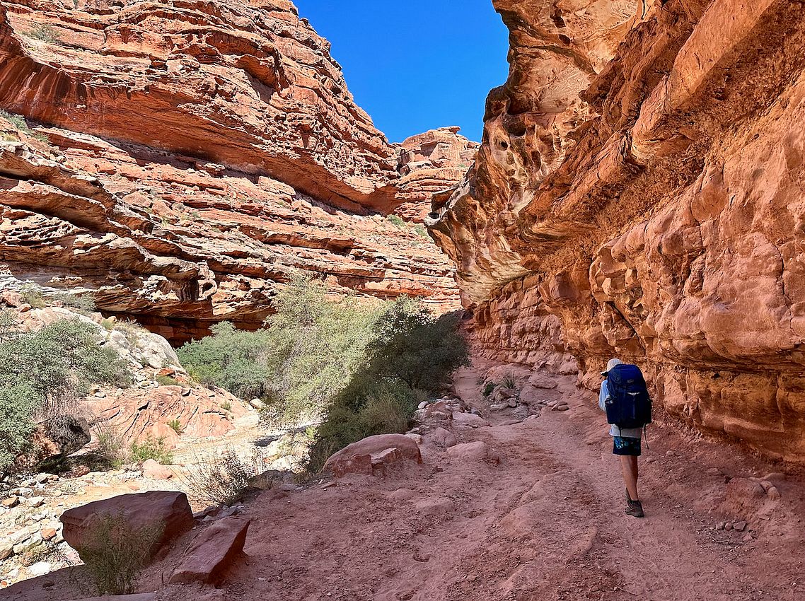 Down in the canyon, trail to Supai