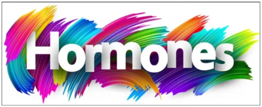 When Menopause and Puberty Collide: The Ultimate Hormonal Showdown